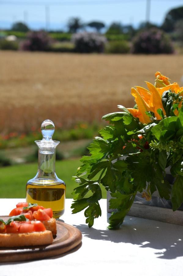 Agriturismo Il Vecchio Mandorlo Castiglione della Pescaia Exteriér fotografie