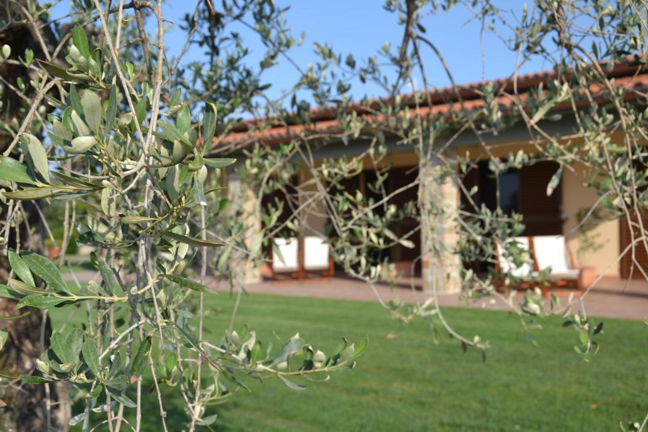 Agriturismo Il Vecchio Mandorlo Castiglione della Pescaia Exteriér fotografie